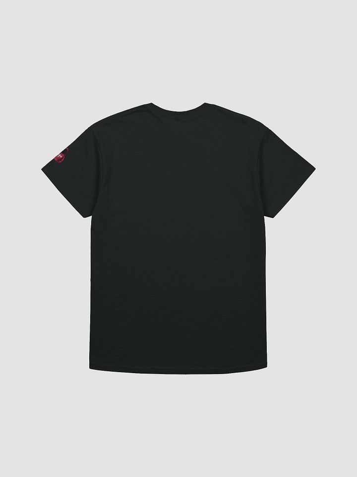 DP T-Shirt product image (2)