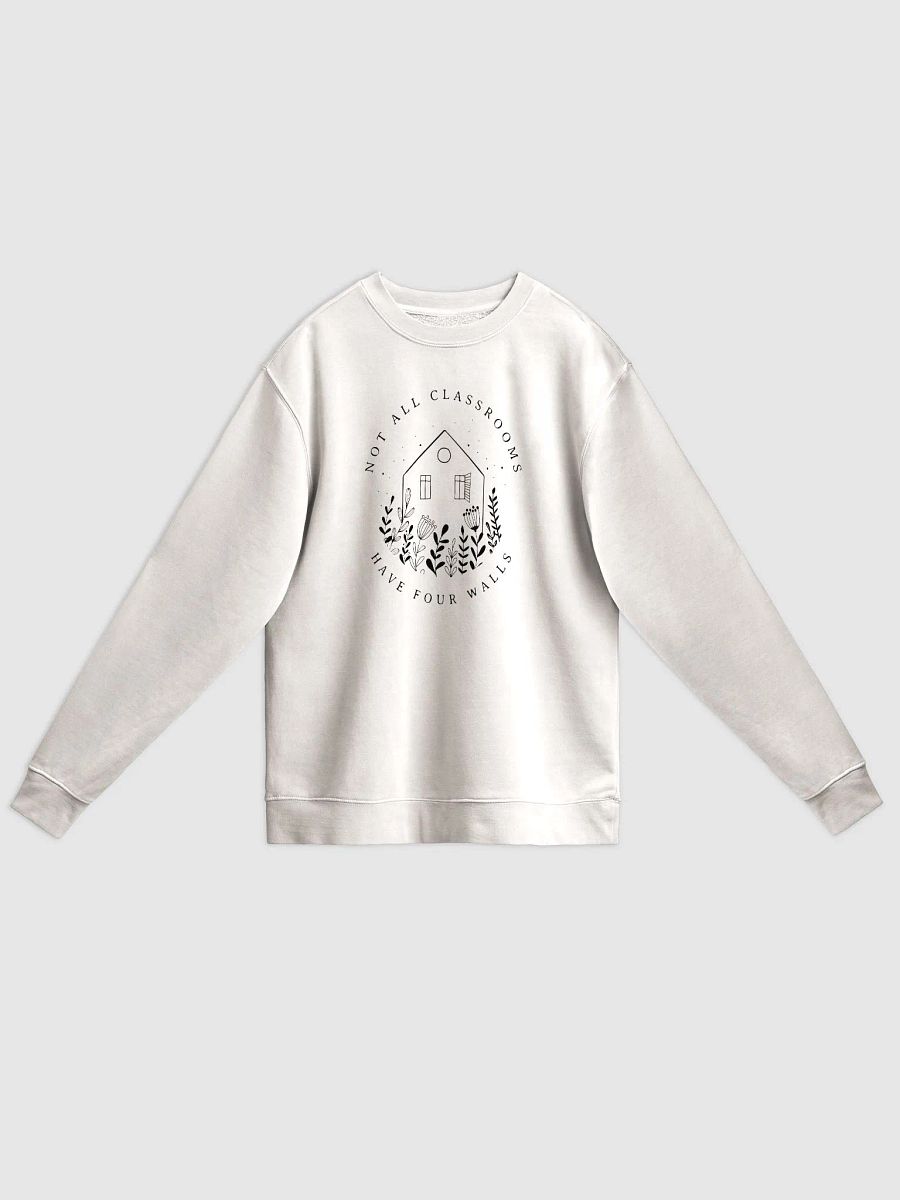 Not All Classrooms Have Four Walls Pullover product image (3)