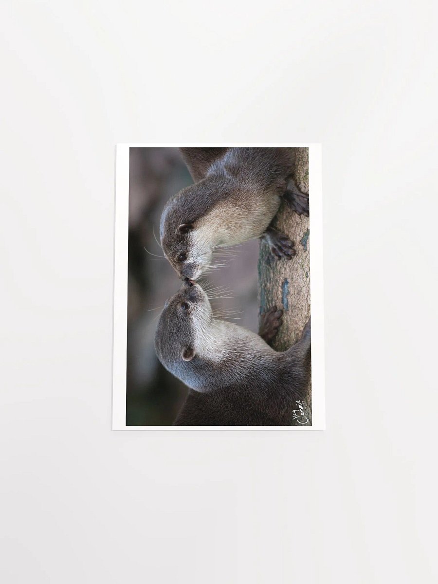 Otters Kiss - Print product image (4)