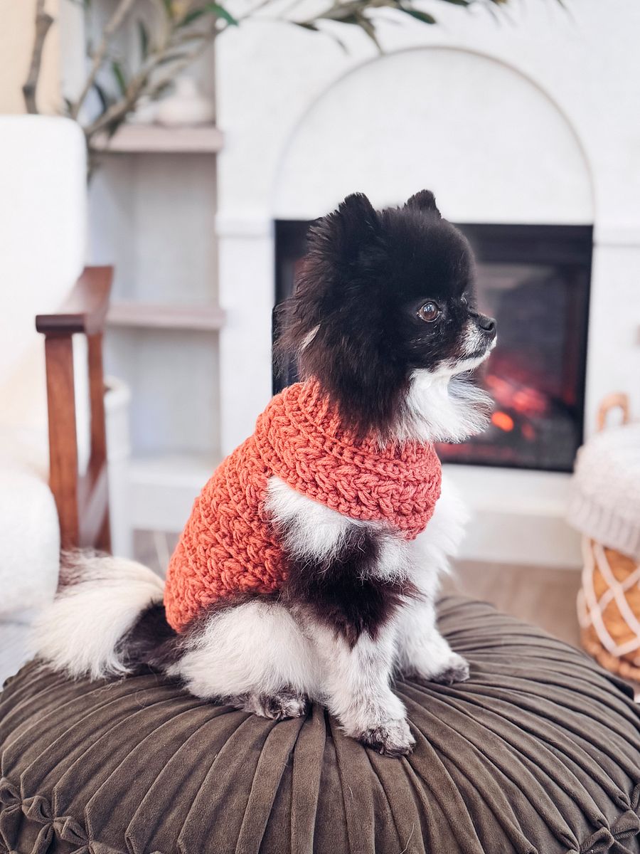 Wheat Stitch Dog Sweater Crochet Pattern in 8 Sizes product image (3)