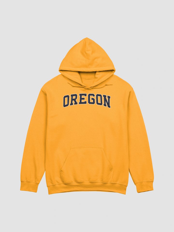 Oregon Vintage Stylish Classic Hoodie product image (1)