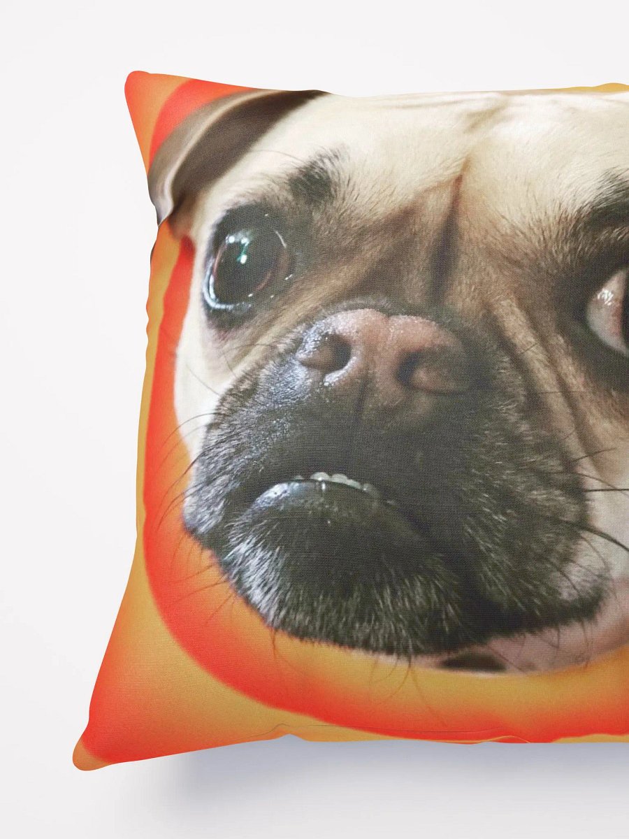 Crash Pillow product image (6)
