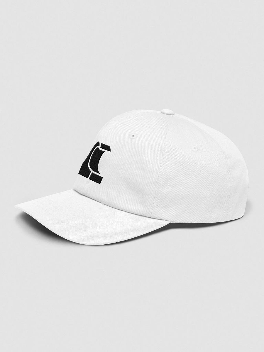 Wavetro Hat (Black Logo) product image (3)