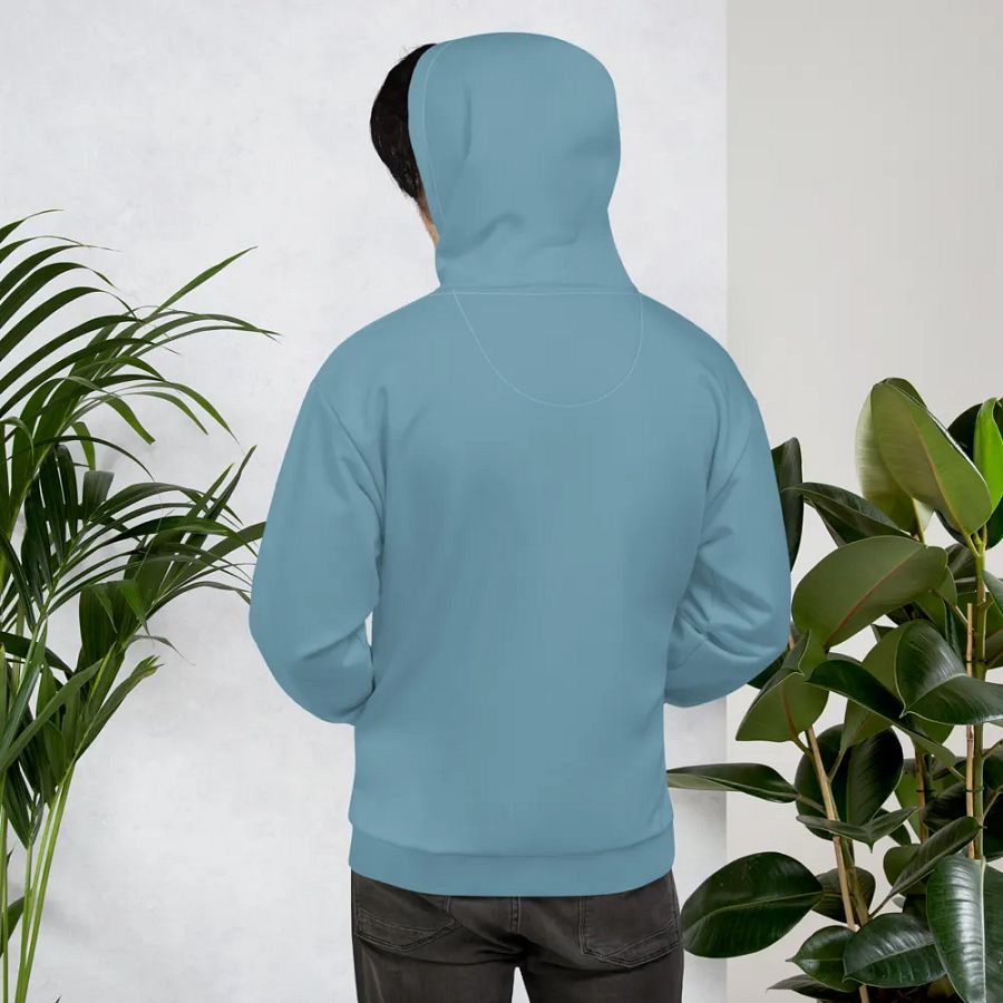 Plain Medium Light Blue Soft Summer Unisex Recycled Polyester Heavyweight Premium Hoodie by Treasure Pie product image (11)