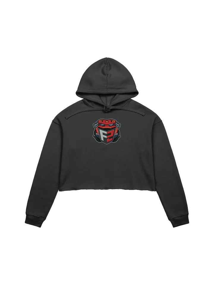 F2 Crop Hoodie product image (1)
