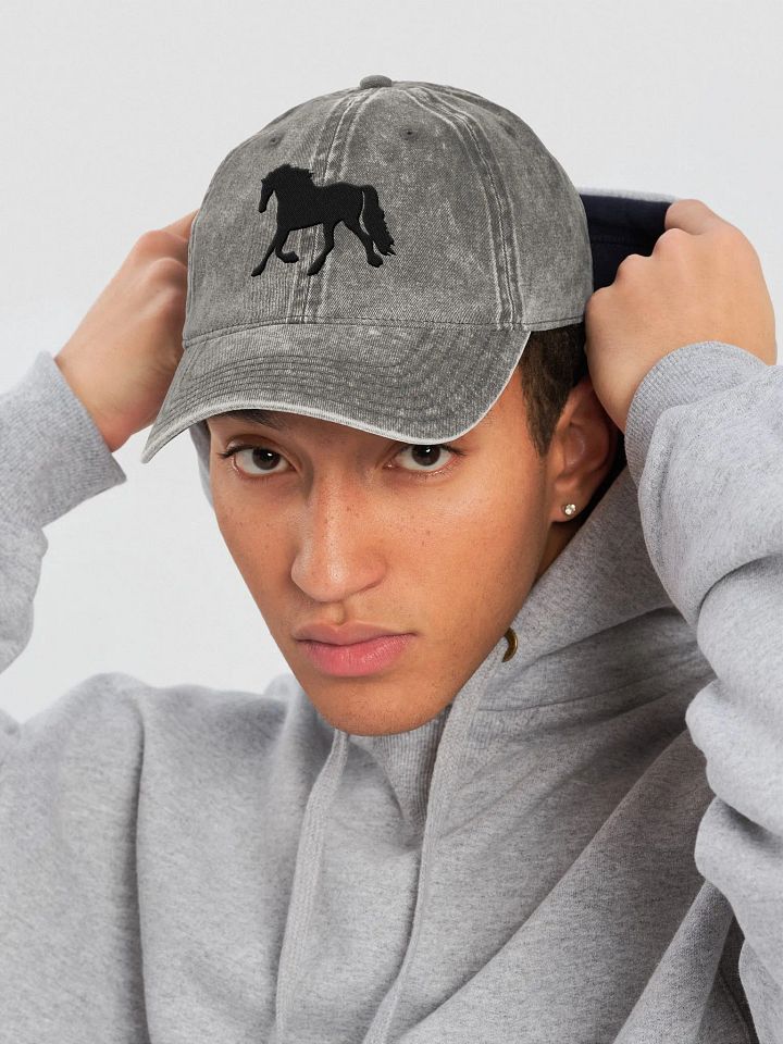 Moriesian Vintage Wash Hat product image (1)