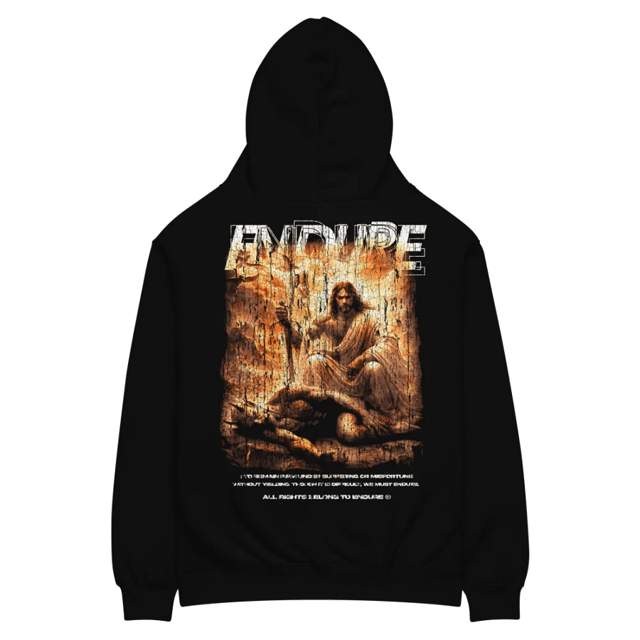 We Must Endure product image (2)