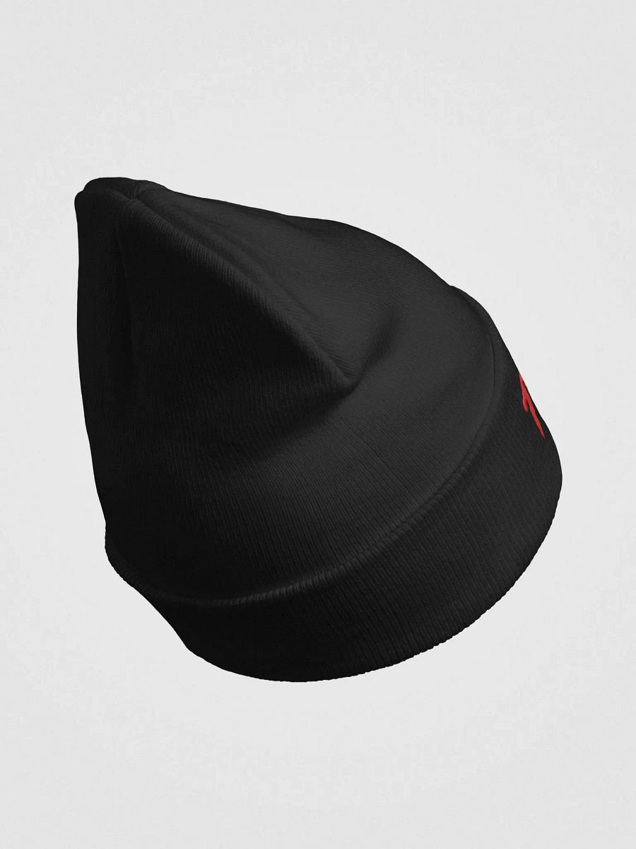 TRUMPAMANlA - Beanie product image (4)