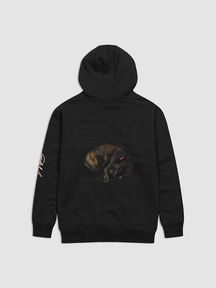 Team Obi Hoodie product image (2)