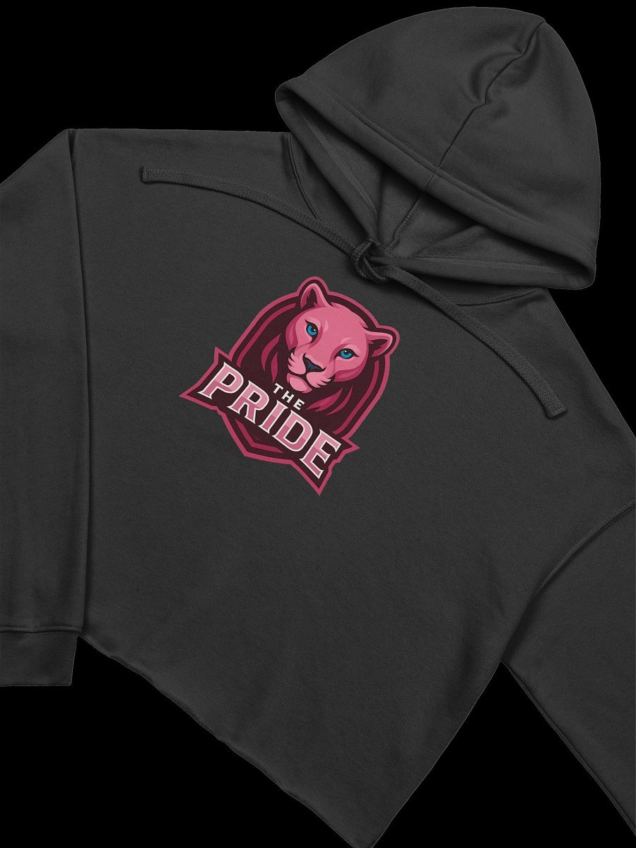 The Pride Crop Sweater product image (35)