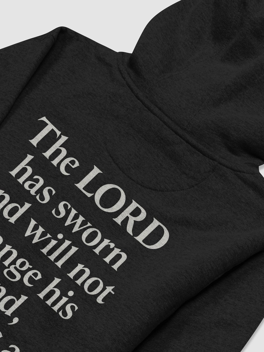 The Oracle Hoodie product image (4)