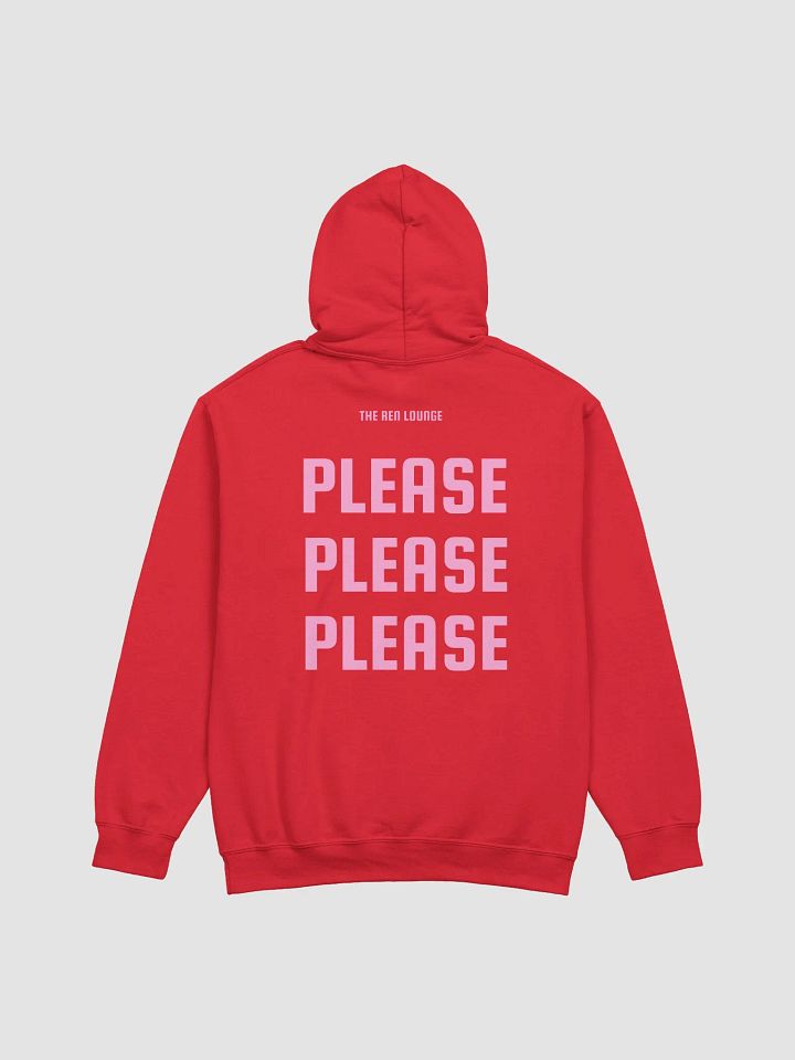 please hoodie product image (1)