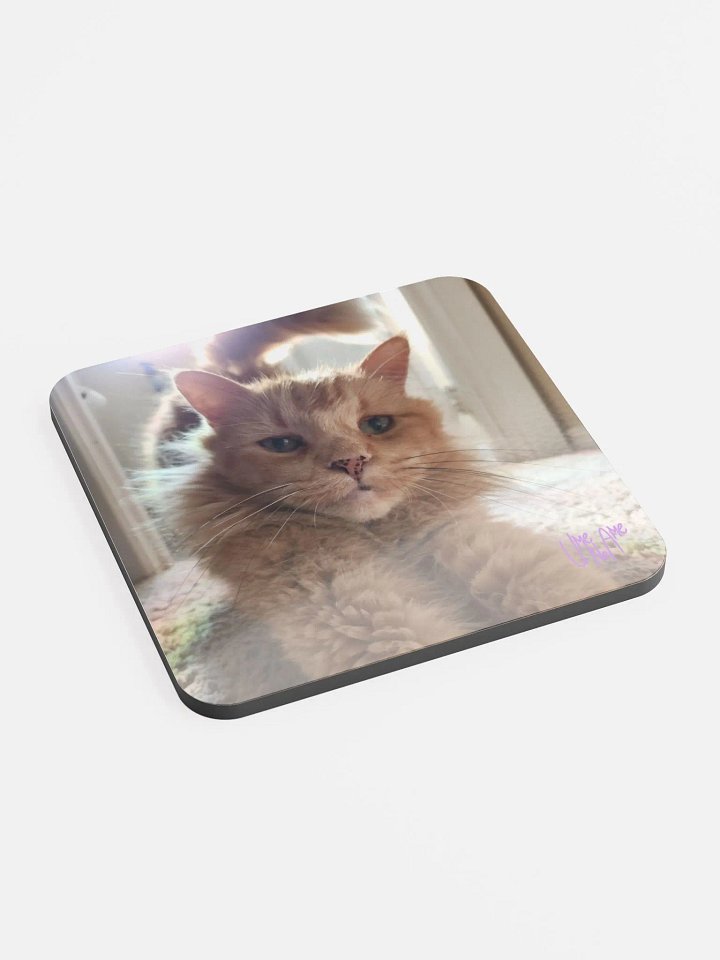 Gus Stretchies Coaster product image (2)