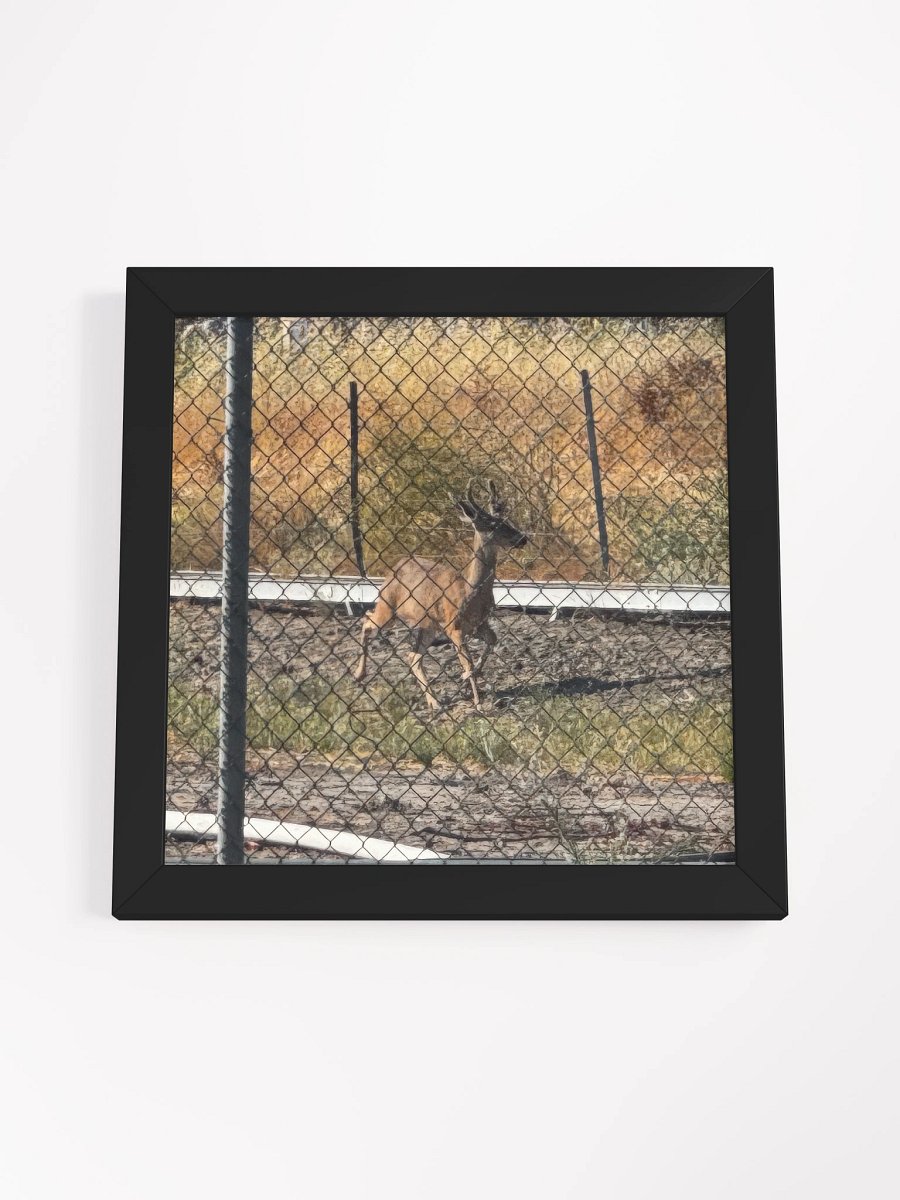 Deer product image (23)