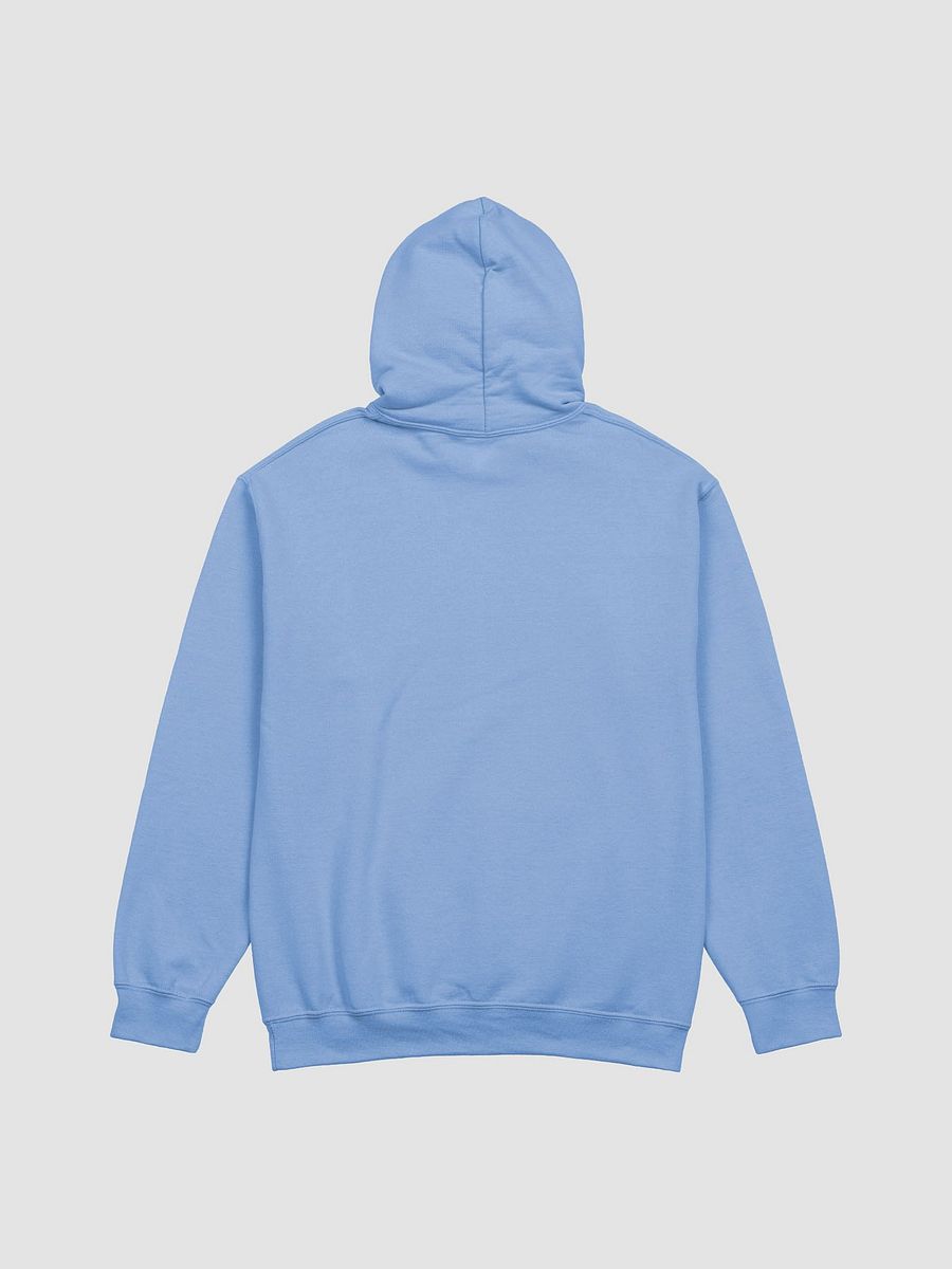 FulishFuji logo hoodie product image (2)