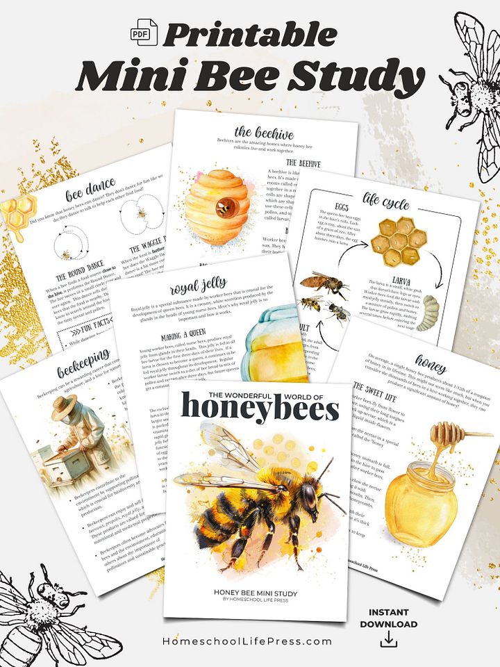Honey Bee Study product image (1)