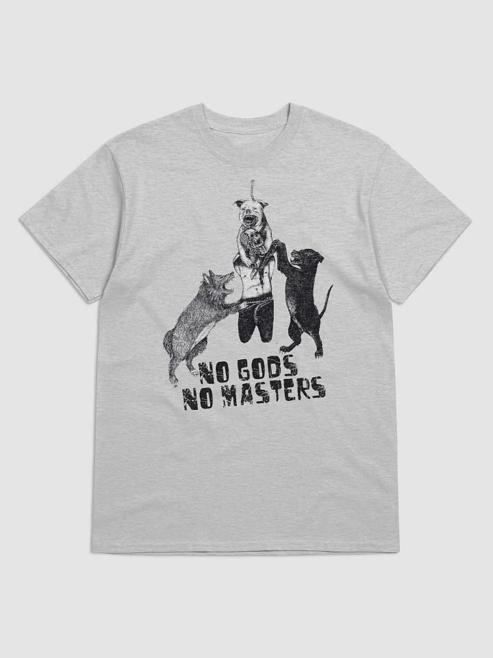 NO GODS NO MASTERS product image (1)