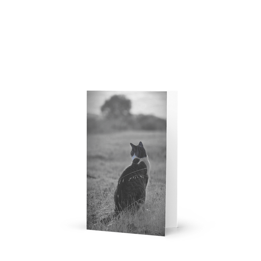 Pawspective Greeting Card product image (1)