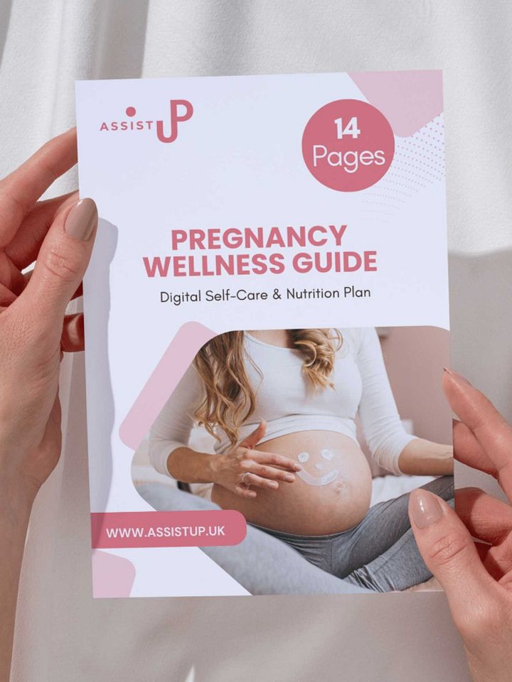 Pregnancy Wellness Guide product image (1)