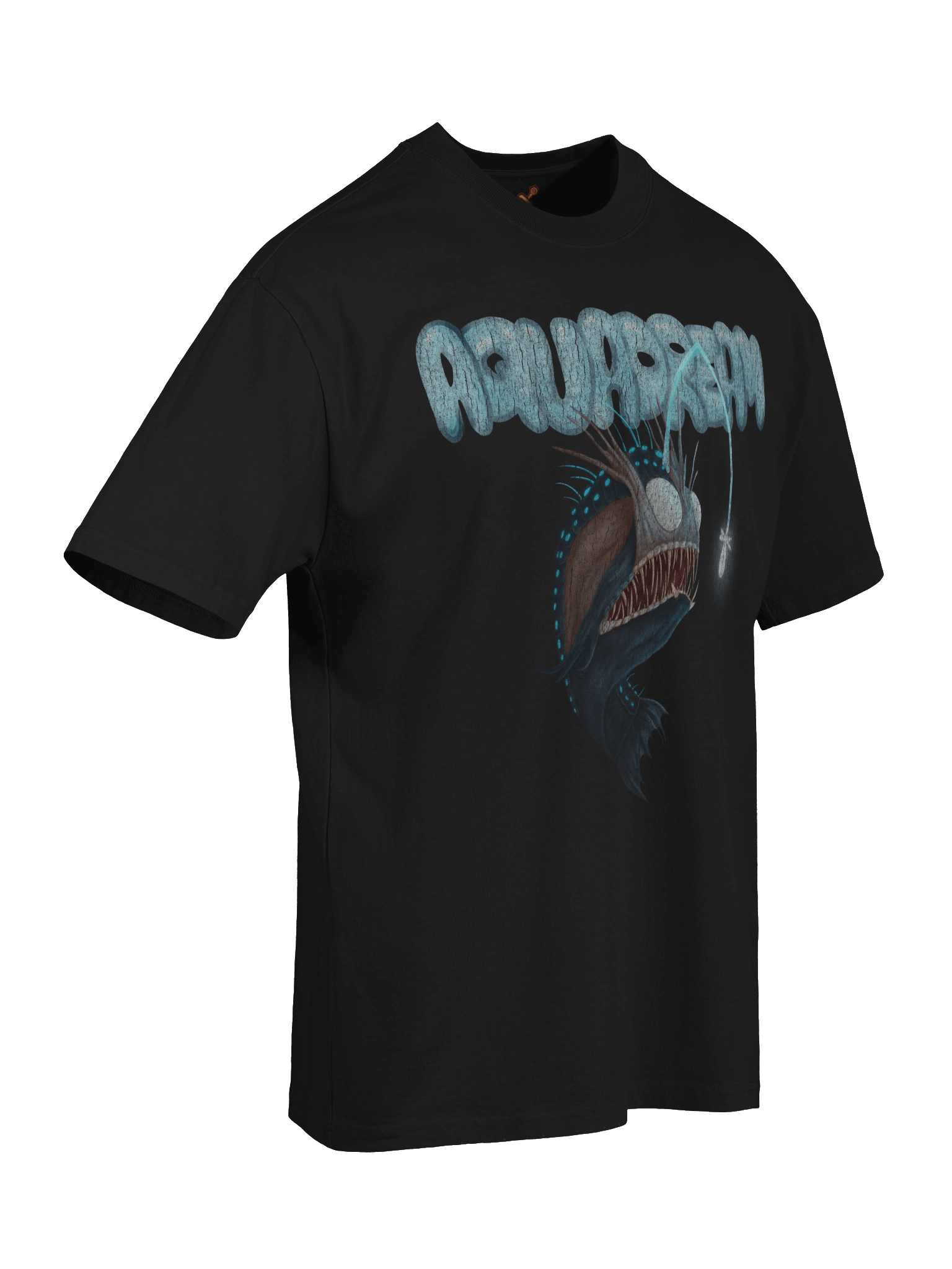 AquaDream RETRO OVERSIZED TEE product image (7)