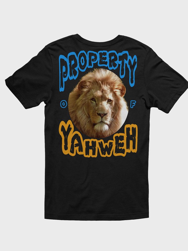 Child of God T-Shirt product image (16)