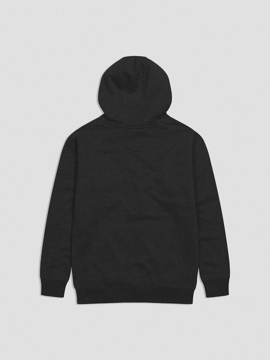 Well that hoodie is pretty Punk Rock! product image (6)