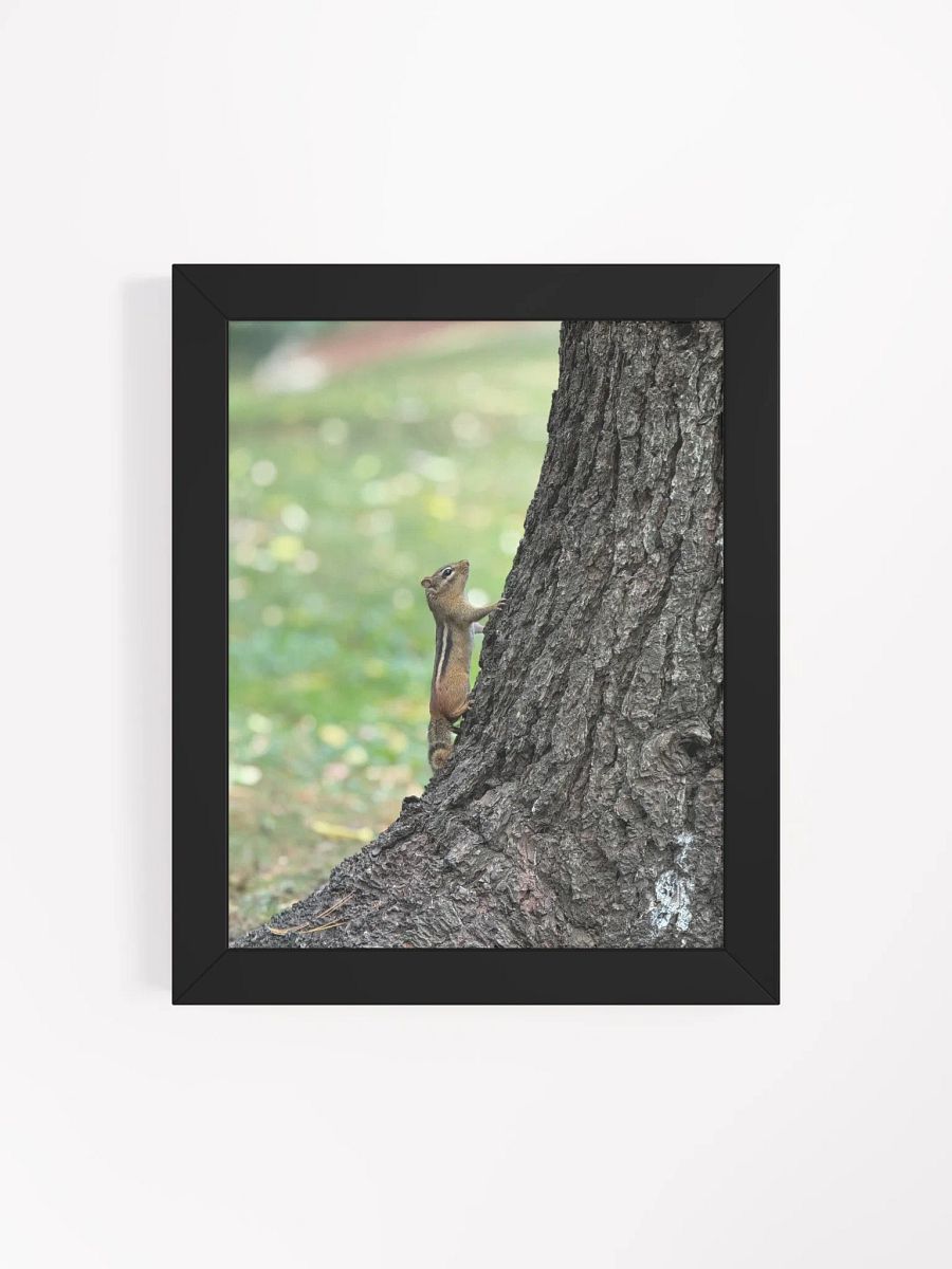 Squirrel print product image (18)