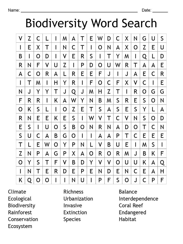 Biodiversity Word Search: Explore 16 Key Ecology Terms! product image (1)