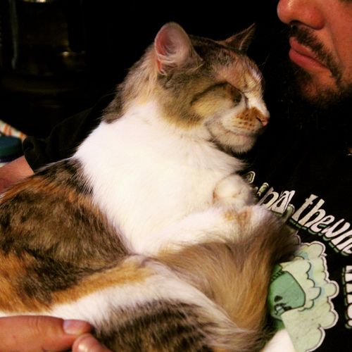 Her name is Neptune:

My Fiancé and I went camping for a couple of weeks, and I would periodically go home to check on the ho...