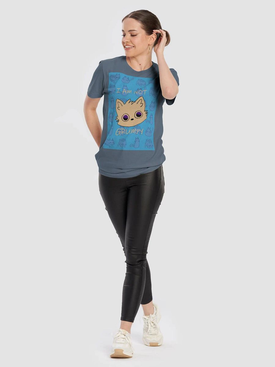 The (NOT) GRUMPY Bella Canvas T-Shirt product image (10)