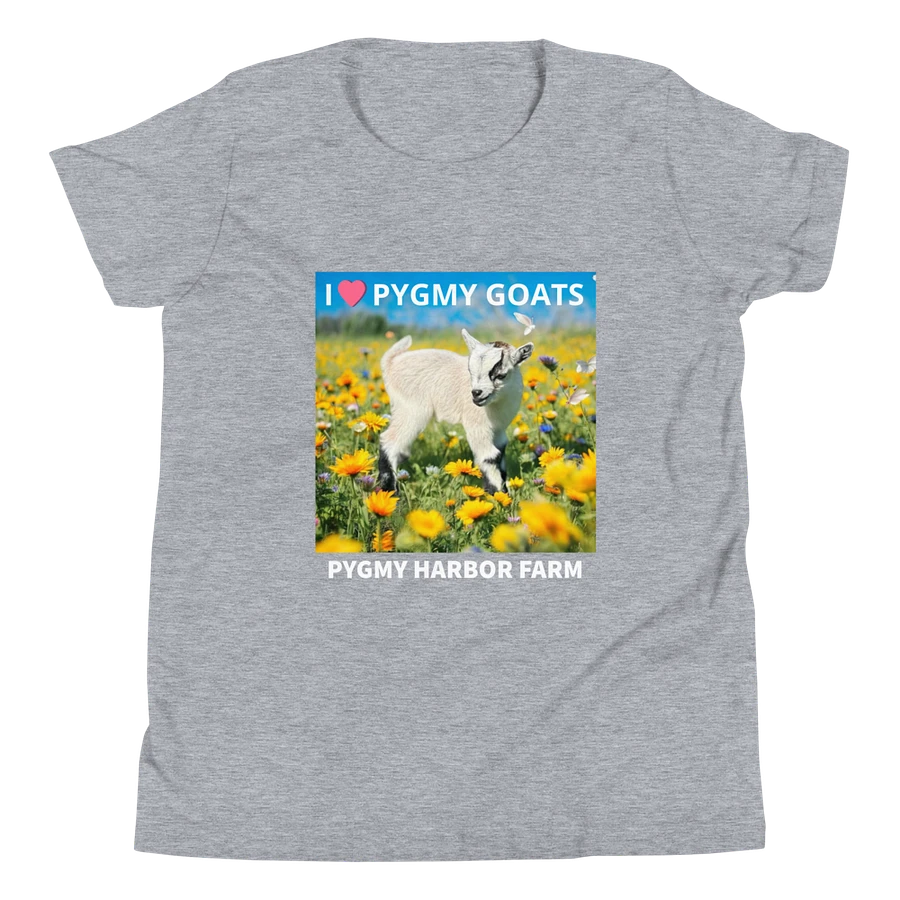 I LOVE PYGMY GOATS YOUTH T-SHIRT product image (1)