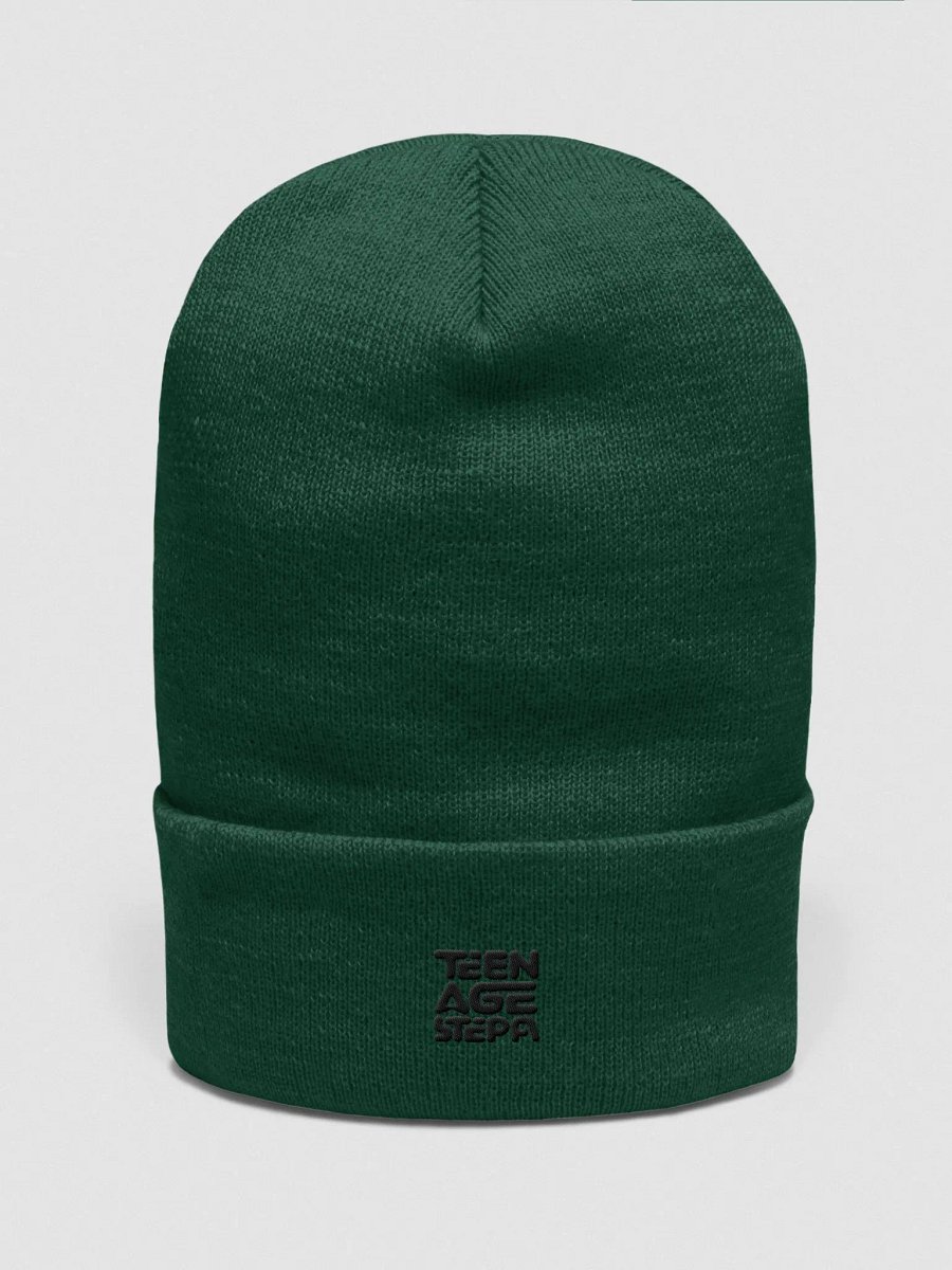 Teen Age Stepa Cuffed Beanie product image (1)