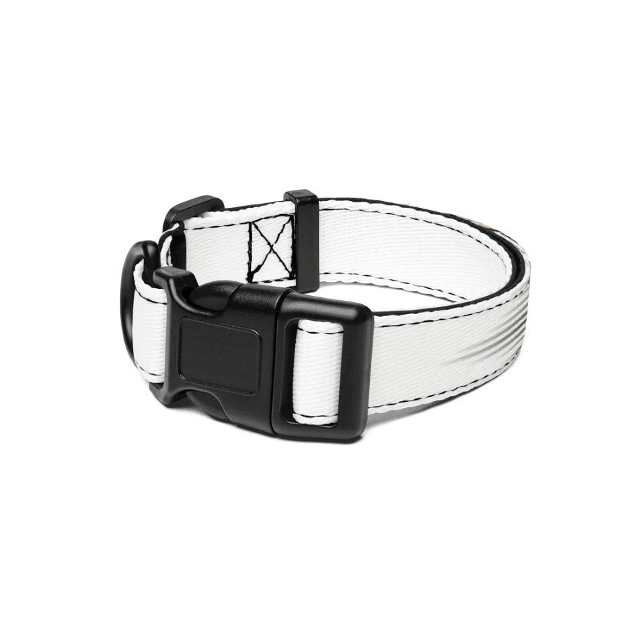 Pet Collar Cute.CunFashion.com product image (1)