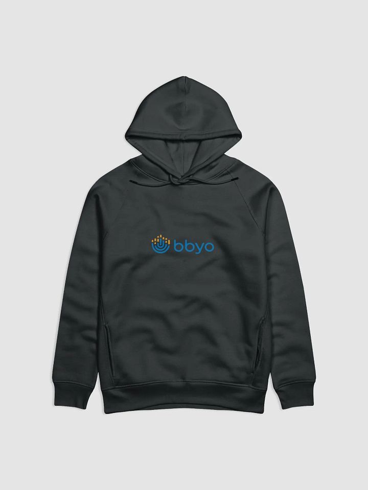 BBYO Hoodie product image (1)