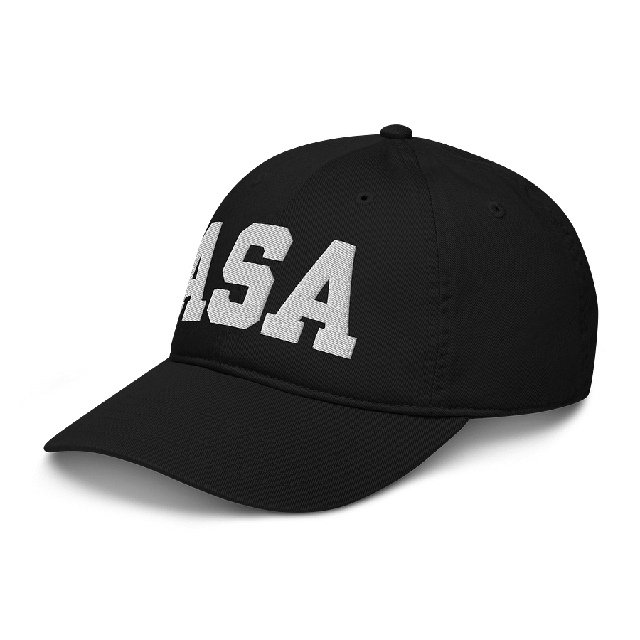 ASA Organic Dad Hat by Econscious product image (4)
