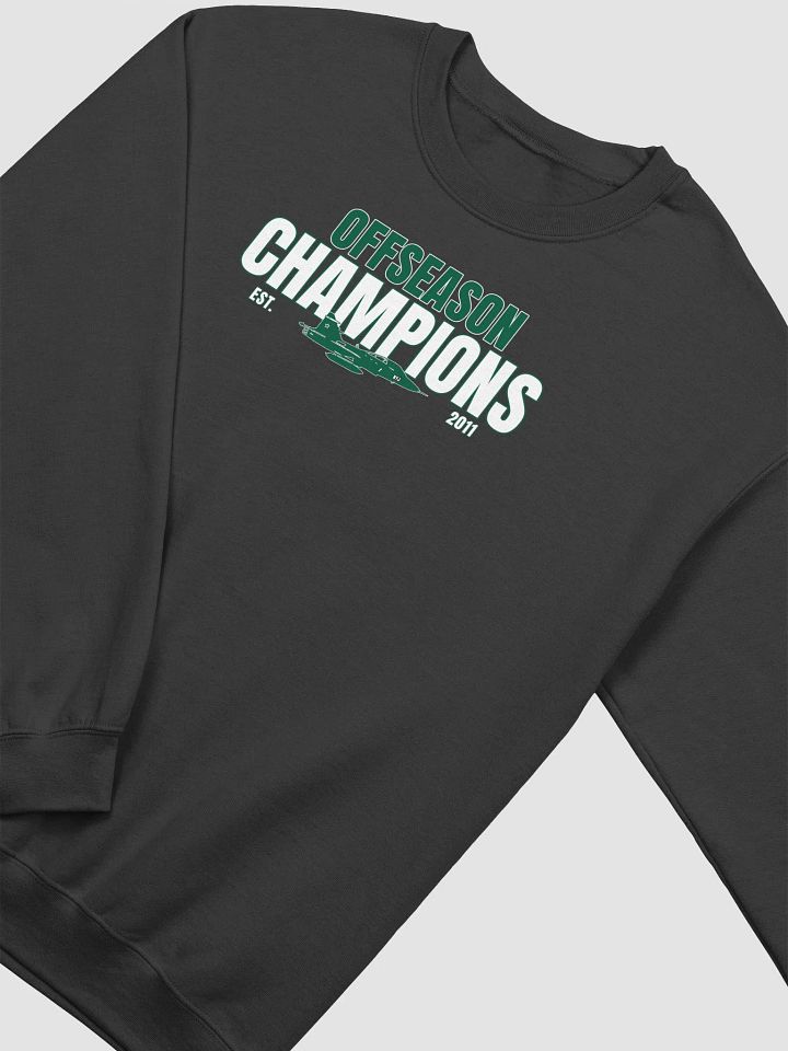 Offseason Champs Pullover product image (4)
