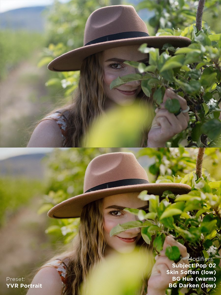 Portrait Presets product image (11)