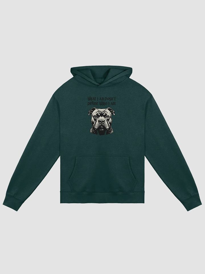Momentary Paws Unisex Oversized Hoodie product image (3)