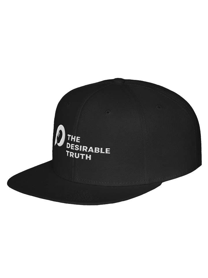 TDT Snapback product image (2)