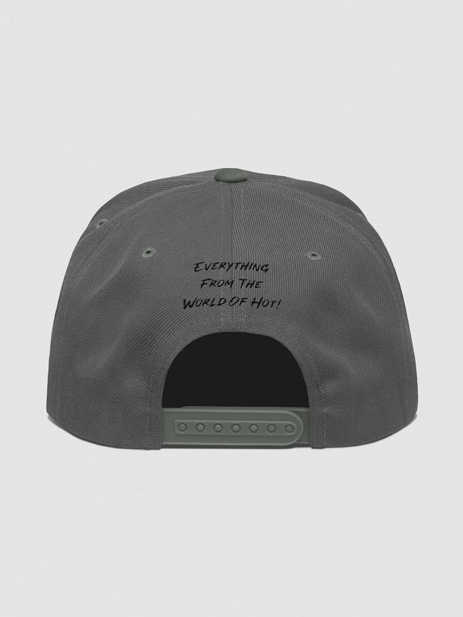 TSW- Snapback (Light) product image (14)