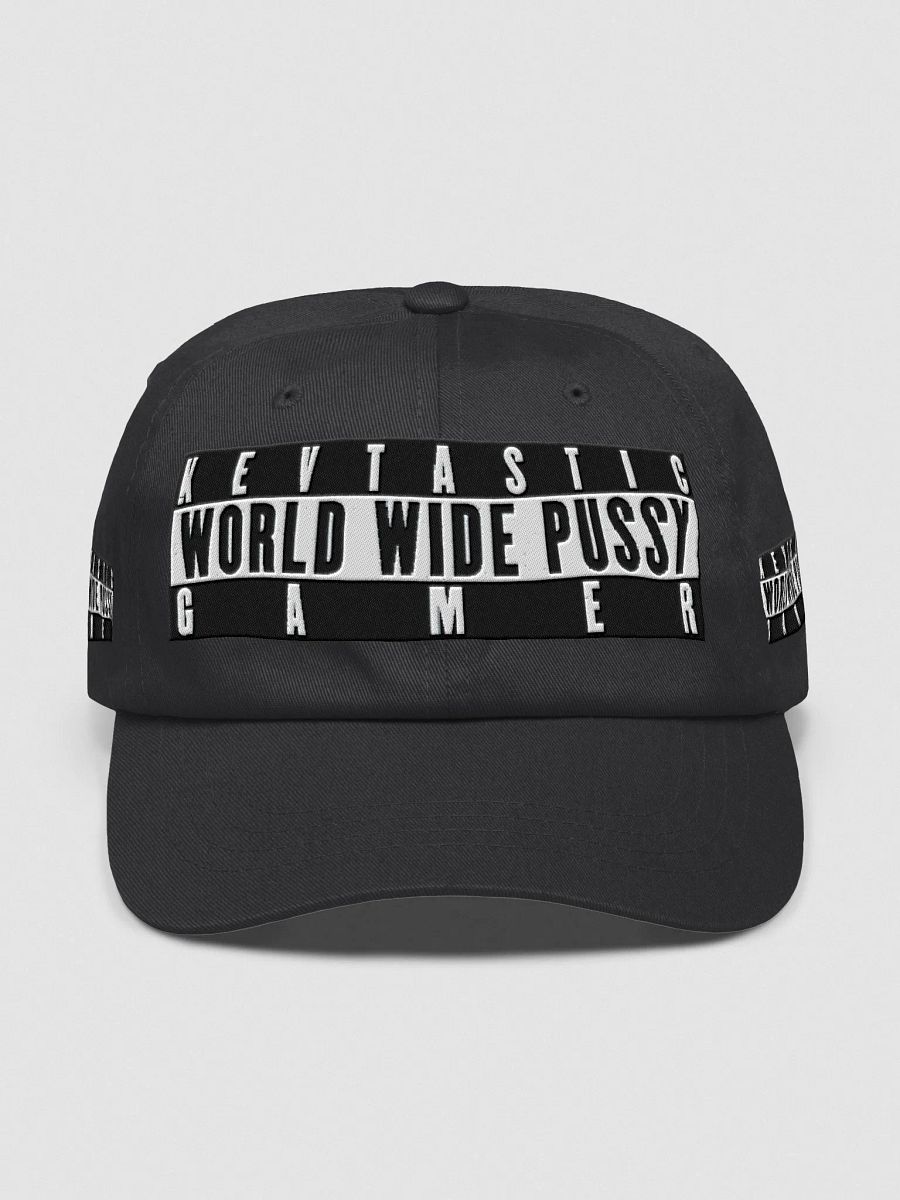 WORLD WIDE PUSSY Gamer Hat product image (6)