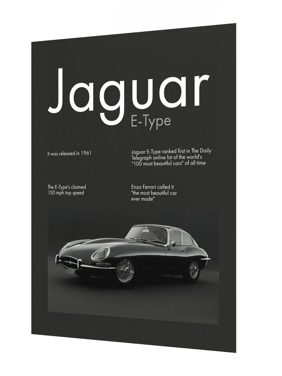 JAGUAR ETYPE product image (2)