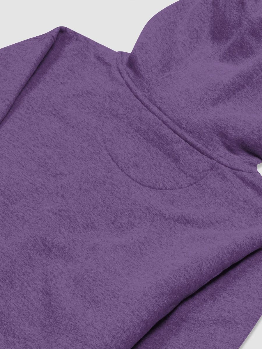 CS Hoodie product image (4)