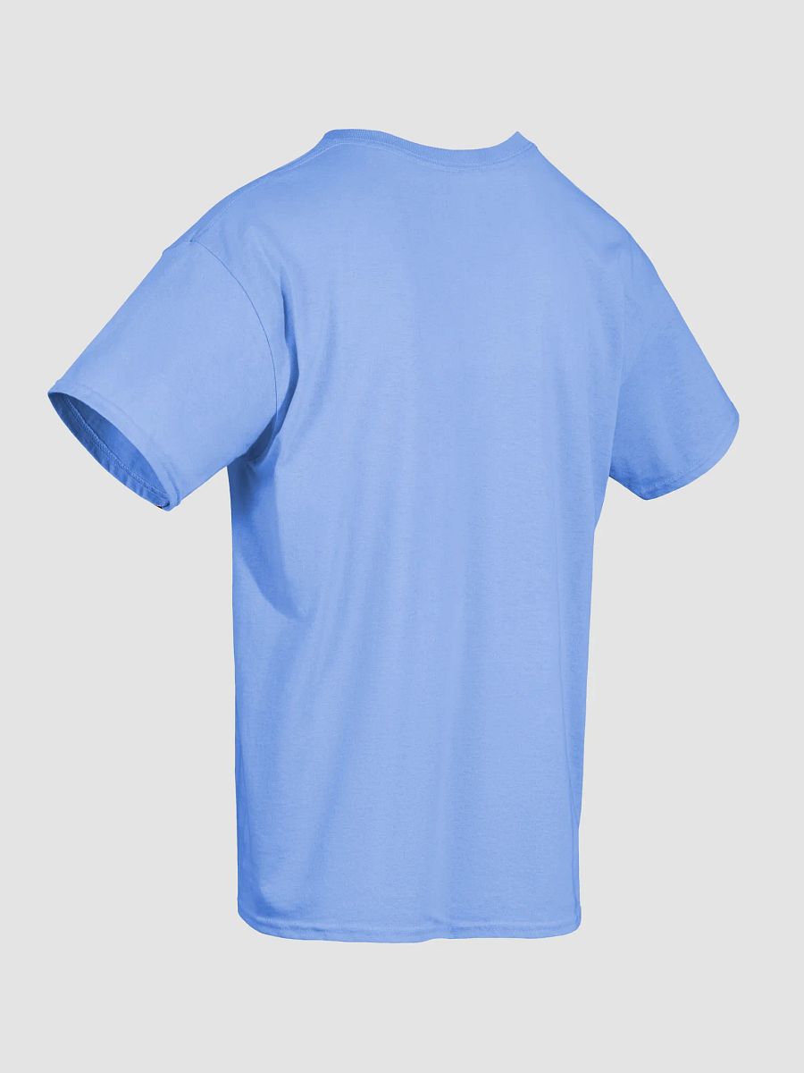 Traditional Gender Vibes Heavyweight Tee product image (6)