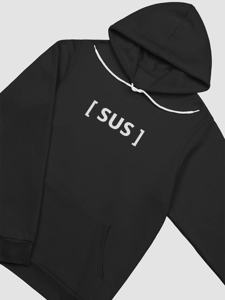 SUS SWEATSHIRT product image (2)