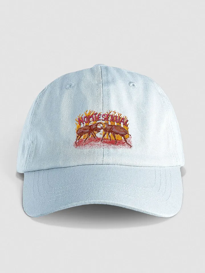 homiesexual dad (hat) pastel version product image (3)