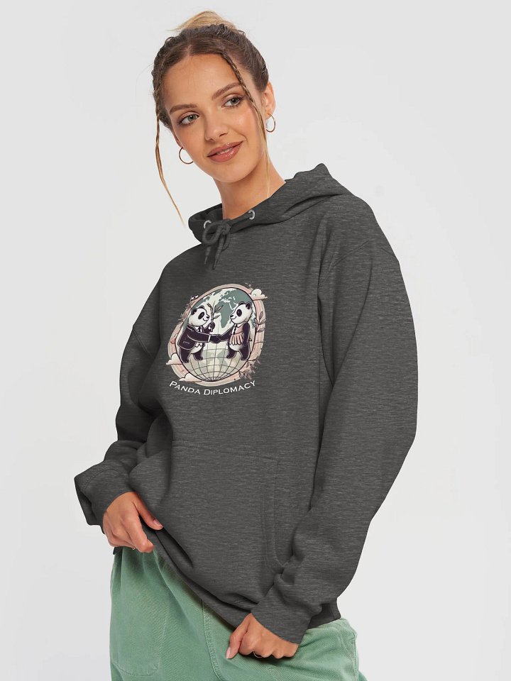 Panda Diplomacy Hoodie (Dark Colors) product image (2)