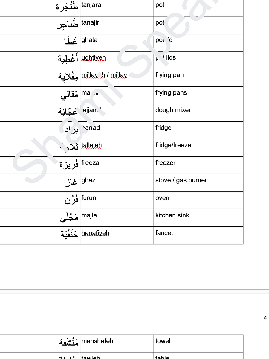 Everyday Kitchen Vocabulary in Levantine Arabic product image (3)