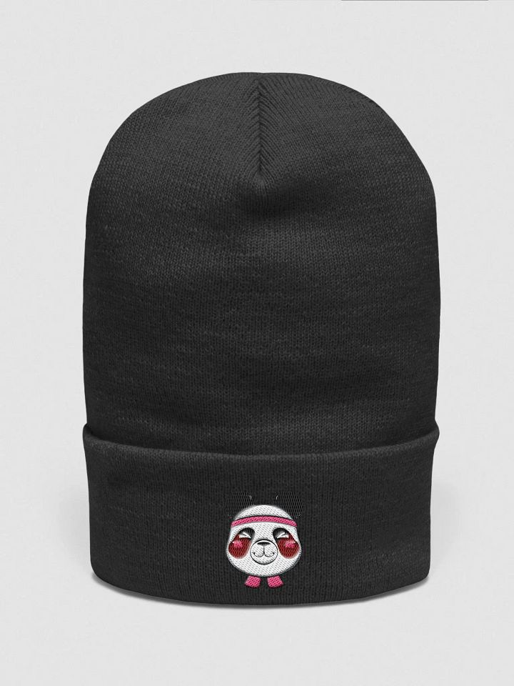 Sethimus Cuffed Beanie! product image (5)