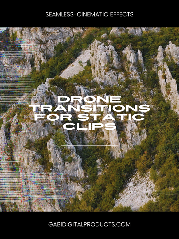 MRR/PLR Premiere SEAMLESS Transitions product image (3)